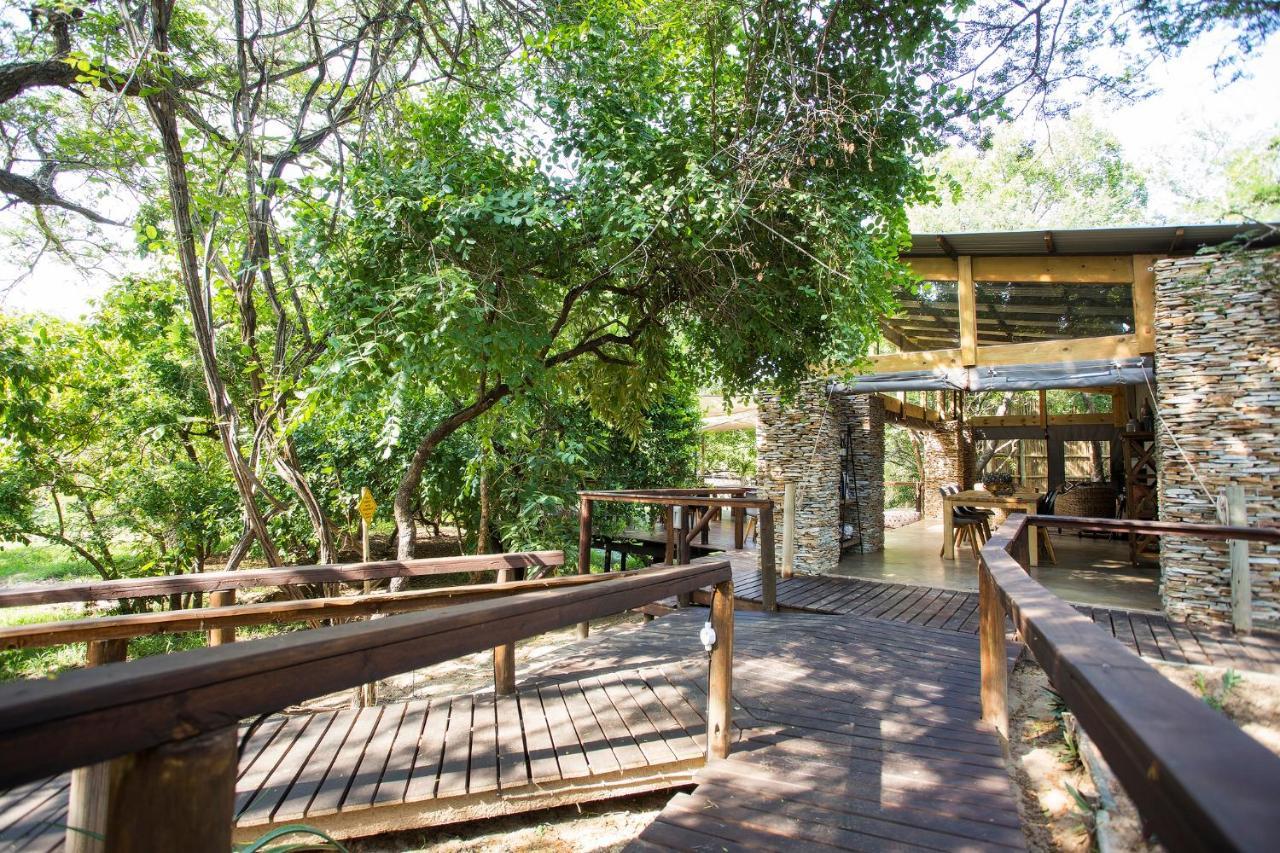 Luxury tent Camp Bethel 3*