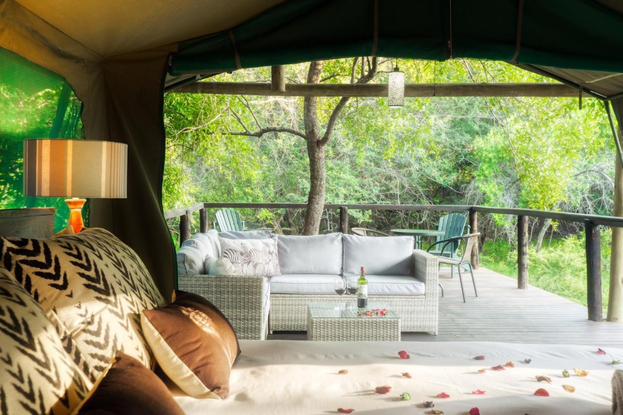 Luxury tent Camp Bethel