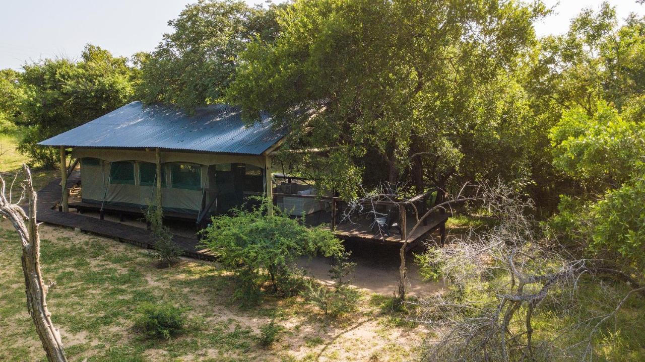 Camp Bethel Luxury tent Hoedspruit