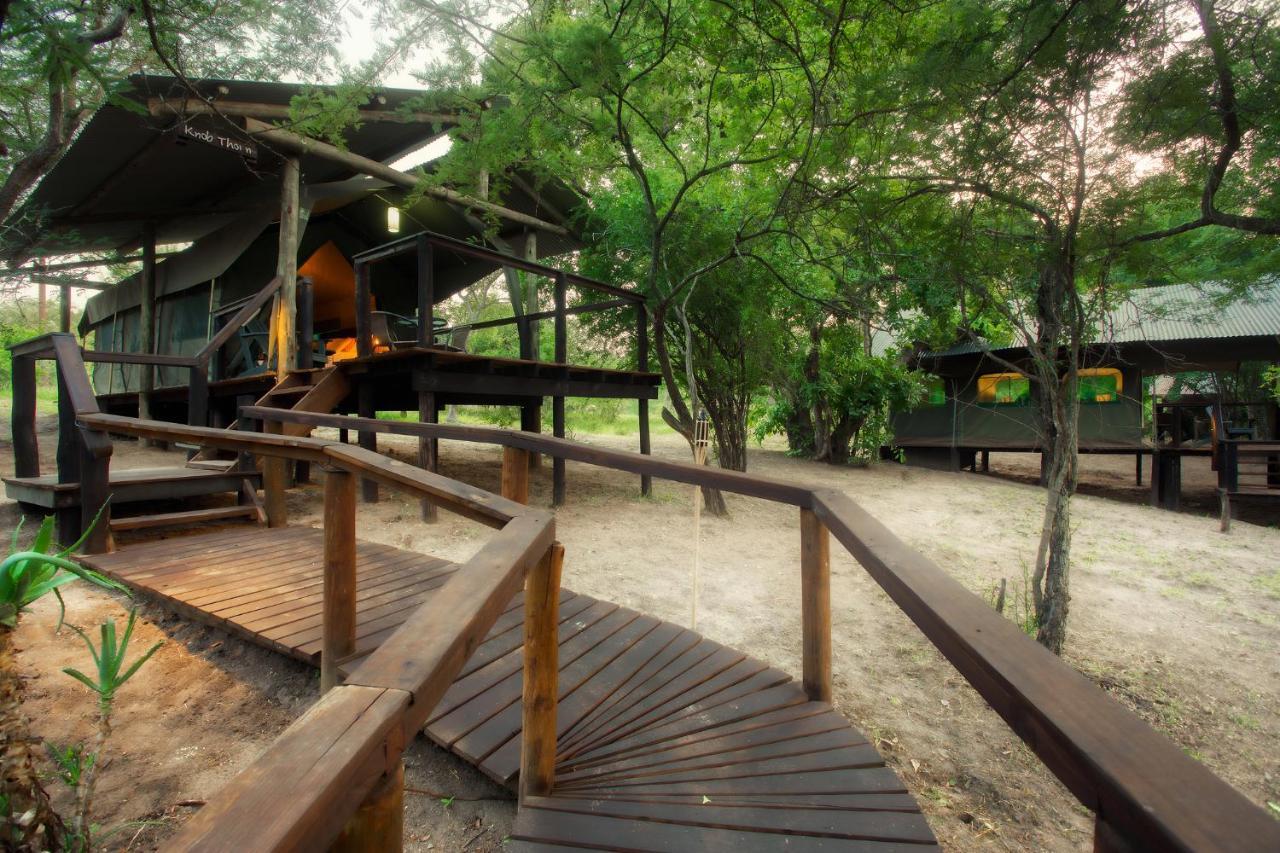 Luxury tent Camp Bethel 3*